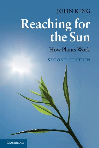 John King - Reaching for the Sun, Häftad