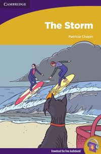 bokomslag The Storm