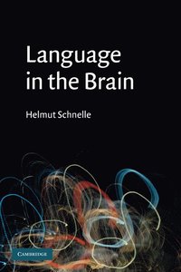 bokomslag Language in the Brain