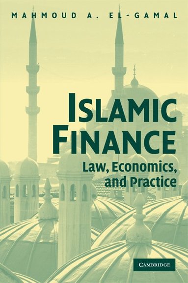 bokomslag Islamic Finance