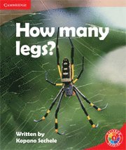 bokomslag How Many Legs?
