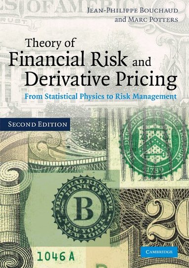 Jean-Philippe Bouchaud, Marc Potters - Theory of Financial Risk and Derivative Pricing, Häftad