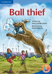 bokomslag Ball Thief