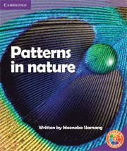bokomslag Patterns in Nature