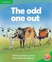 The Odd One Out 1