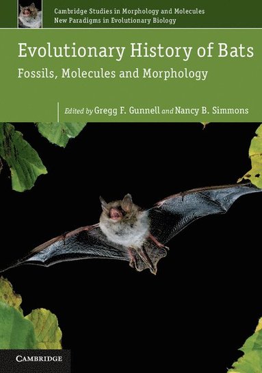 bokomslag Evolutionary History of Bats