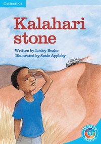 bokomslag Kalahari Stone