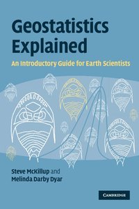 bokomslag Geostatistics Explained