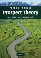 bokomslag Prospect Theory