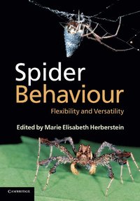 bokomslag Spider Behaviour