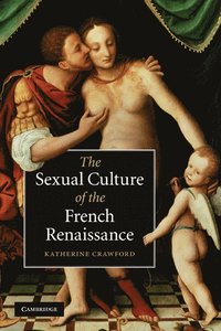 bokomslag The Sexual Culture of the French Renaissance