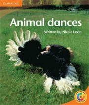 bokomslag Animal Dances