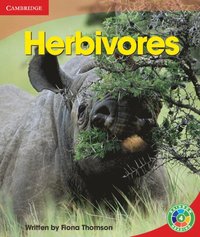 bokomslag Herbivores