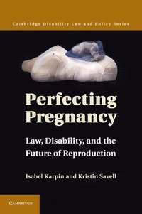 bokomslag Perfecting Pregnancy