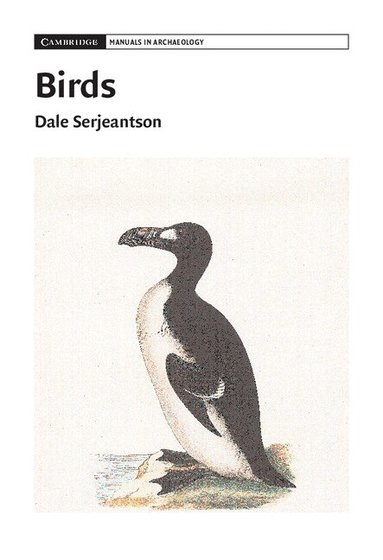 Dale Serjeantson - Birds, Häftad