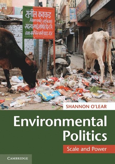 bokomslag Environmental Politics