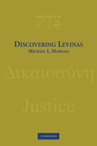 bokomslag Discovering Levinas