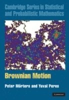 Brownian Motion 1