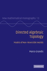 bokomslag Directed Algebraic Topology