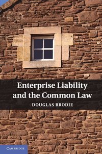 bokomslag Enterprise Liability and the Common Law