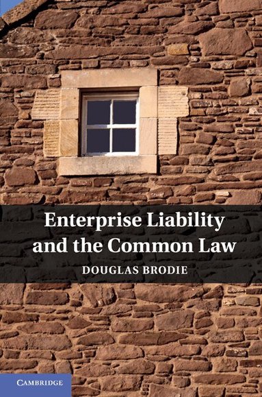 Douglas Brodie - Enterprise Liability and the Common Law, Inbunden