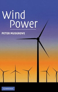 bokomslag Wind Power