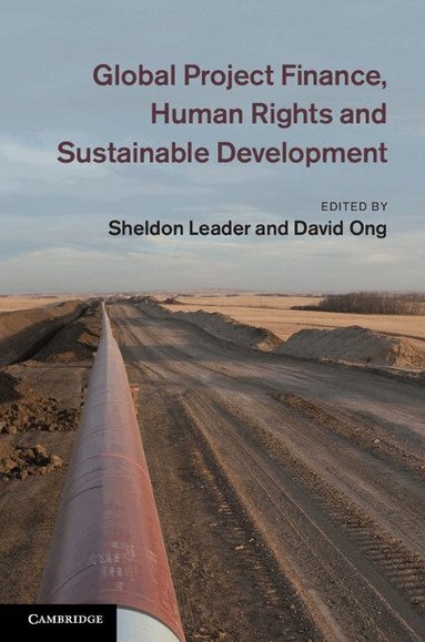 Sheldon Leader, David Ong - Global Project Finance, Human Rights and Sustainable Development, Inbunden