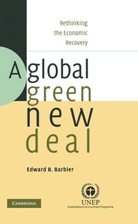 bokomslag A Global Green New Deal