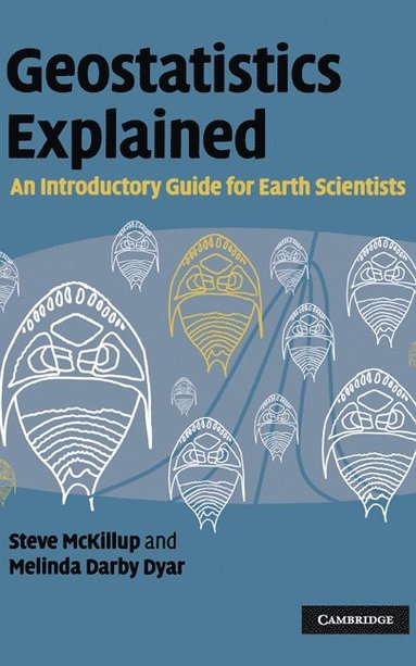 bokomslag Geostatistics Explained