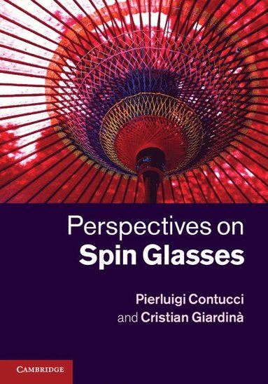 bokomslag Perspectives on Spin Glasses