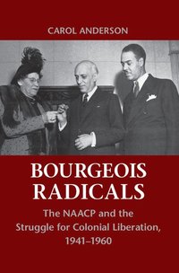 bokomslag Bourgeois Radicals