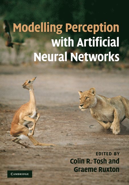 Modelling Perception with Artificial Neural Networks