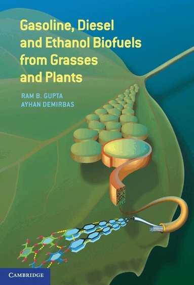 Ram B. Gupta, Ayhan Demirbas - Gasoline, Diesel, and Ethanol Biofuels from Grasses and Plants, Inbunden