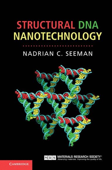 bokomslag Structural DNA Nanotechnology