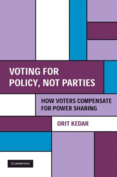 bokomslag Voting for Policy, Not Parties