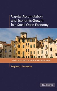 bokomslag Capital Accumulation and Economic Growth in a Small Open Economy