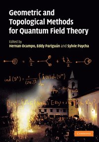 bokomslag Geometric and Topological Methods for Quantum Field Theory