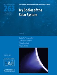 bokomslag Icy Bodies of the Solar System (IAU S263)