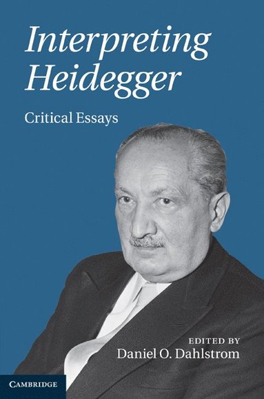 bokomslag Interpreting Heidegger