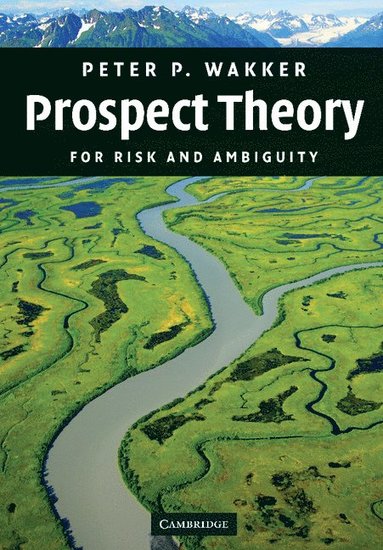 bokomslag Prospect Theory