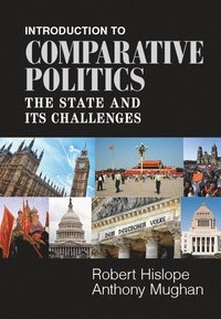 bokomslag Introduction to Comparative Politics