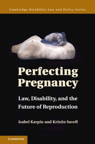 Isabel Karpin, Kristin Savell - Perfecting Pregnancy, Inbunden
