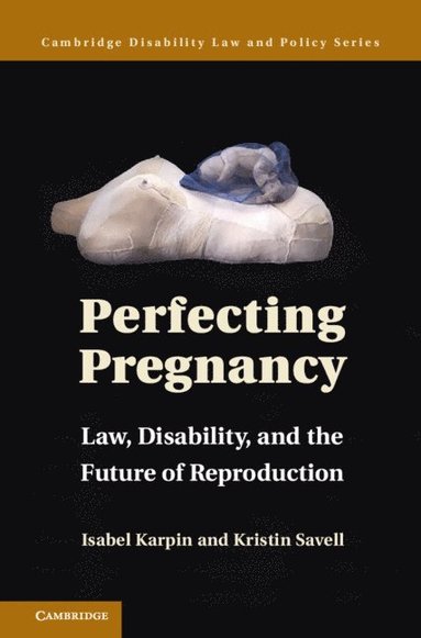 bokomslag Perfecting Pregnancy