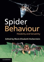 bokomslag Spider Behaviour