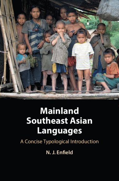 bokomslag Mainland Southeast Asian Languages