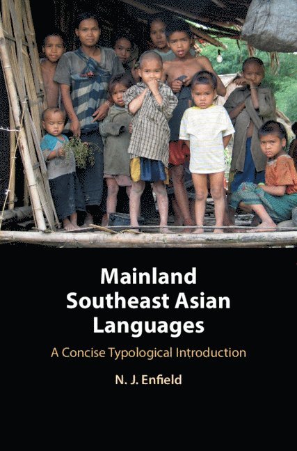Mainland Southeast Asian Languages 1