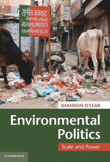 bokomslag Environmental Politics