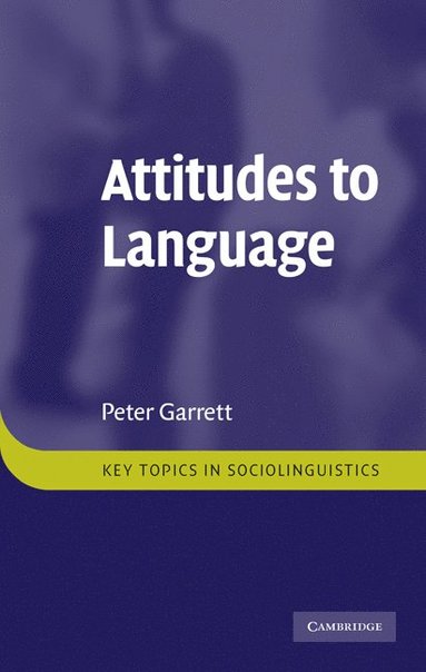 bokomslag Attitudes to Language
