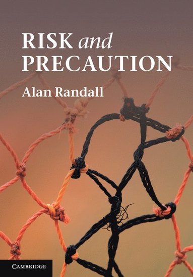 bokomslag Risk and Precaution