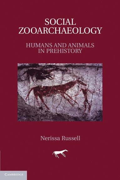 bokomslag Social Zooarchaeology